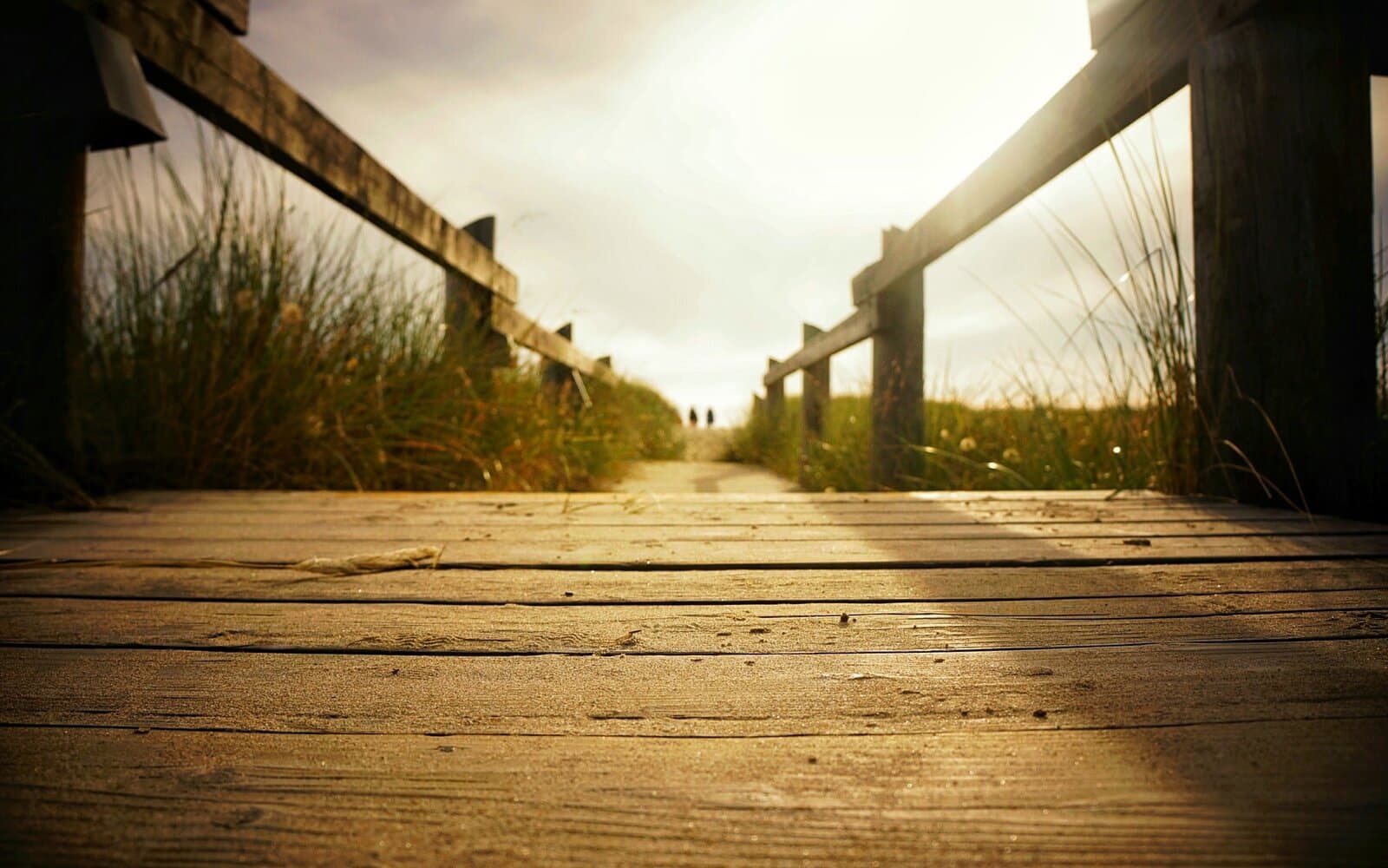 A quiet boardwalk in warm evening light